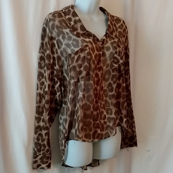 Leopard Print Chiffon Hi-Lo Top - Picture 4 of 7